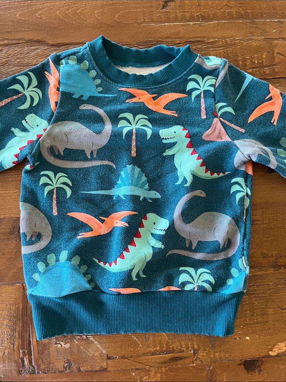 Little Sleepies 2T Dino sweatshirt VGUC